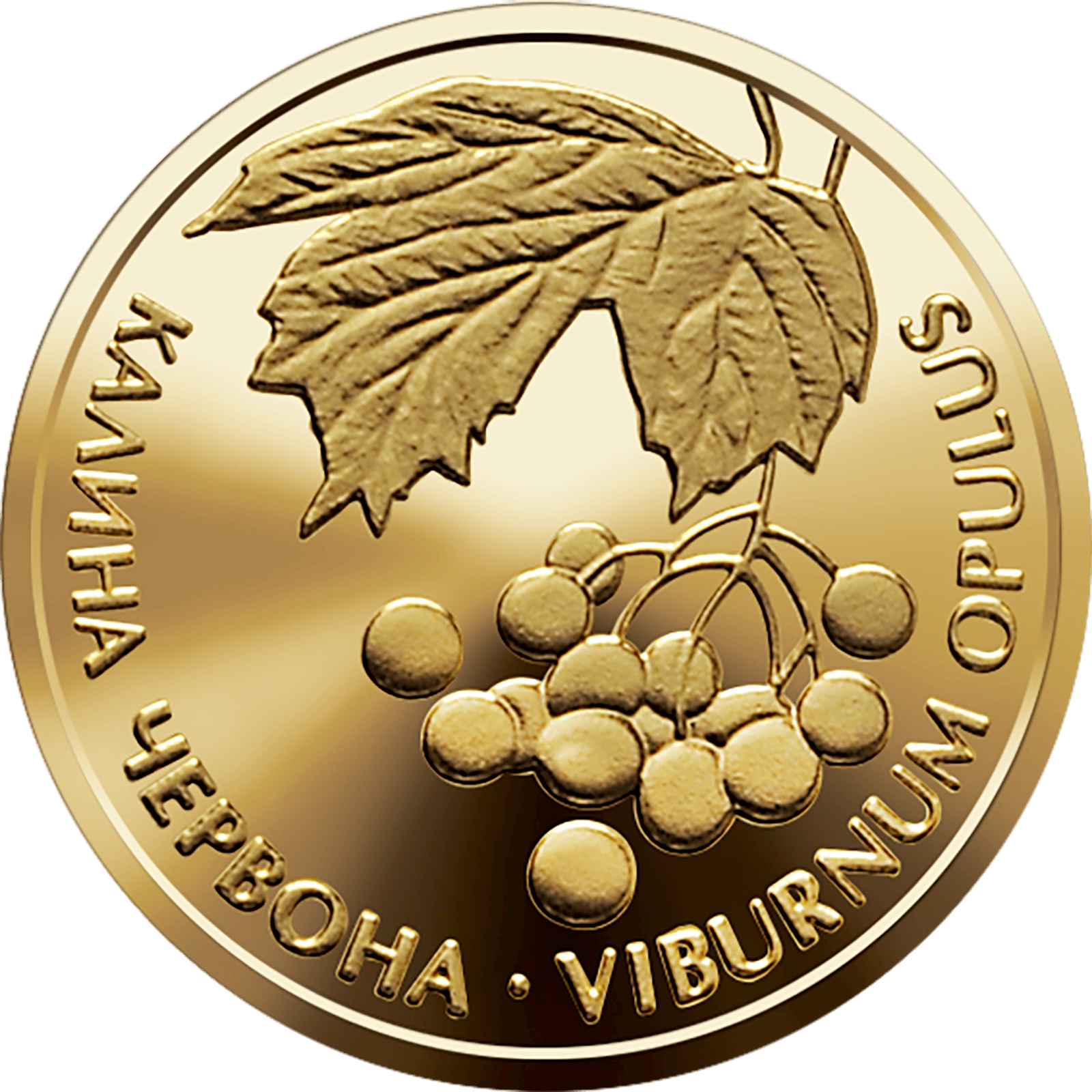 Калина червона, реверс
