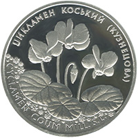Цикламен коський (Кузнецова), реверс