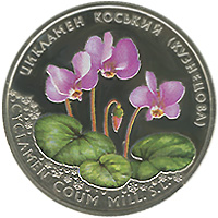Цикламен коський (Кузнецова), реверс