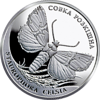 Совка розкішна, реверс