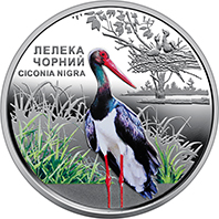Чорнобиль. Відродження. Лелека чорний, реверс