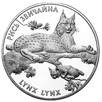 Рись звичайна, реверс