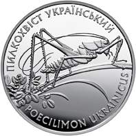Пилкохвіст український, реверс