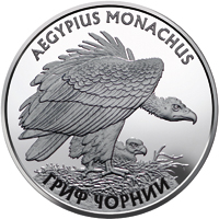 Гриф чорний, реверс